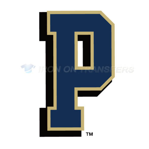 Pittsburgh Panthers Logo T-shirts Iron On Transfers N5899 - Click Image to Close